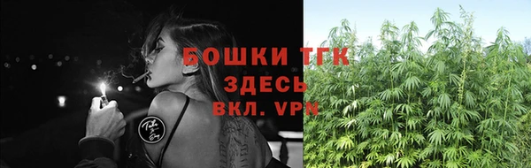 дживик Киреевск