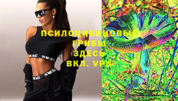 дживик Киреевск
