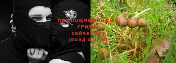 дживик Киреевск