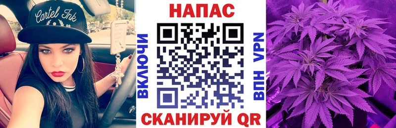 Каннабис гибрид  Купить где  Георгиевск 